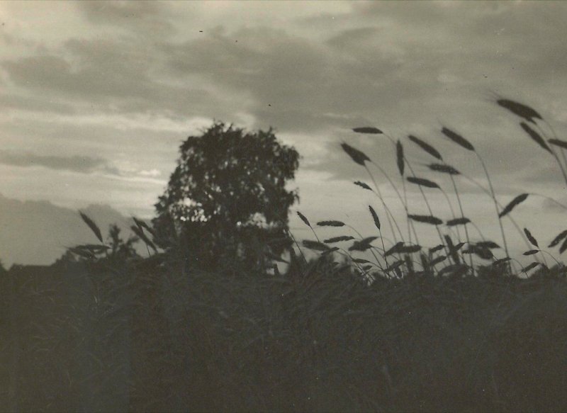Exposition de Raoul Hausmann (1886-1971), Photographies, La face cachée de l’œuvre - Galerie Gilles Peyroulet & Cie