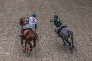 Démonstration de polo au Pôle International du Cheval Longines - Deauville