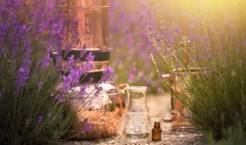 Secrets de distillation