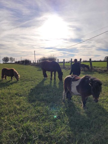 Atelier de médiation équine pour les adolescents :  Confiance en soi et communication avec le cheval, chez LP Médiation Equine