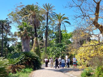 Visites "découverte" du jardin botanique Thuret