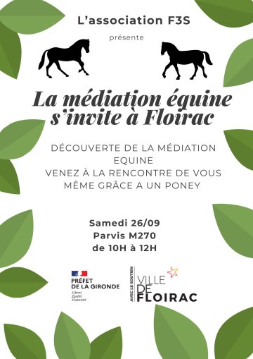 Découverte de la médiation équine