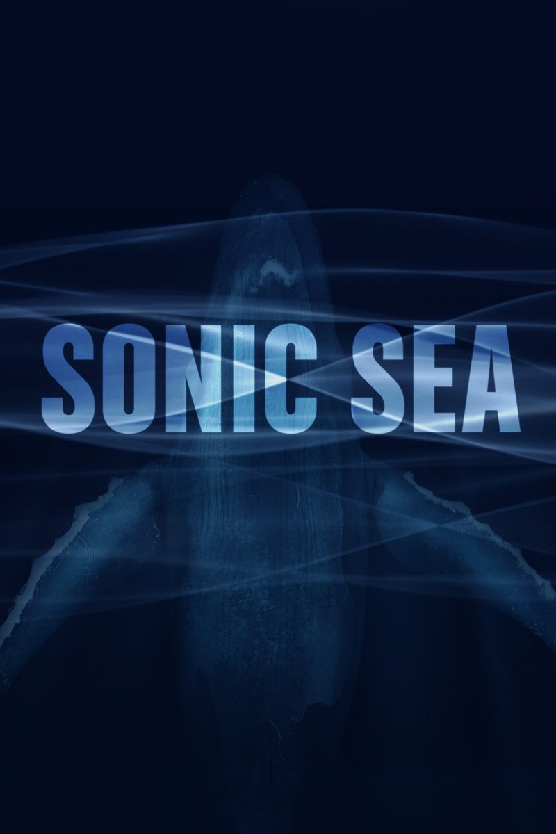 Ciné-Débat "Sonic Sea"