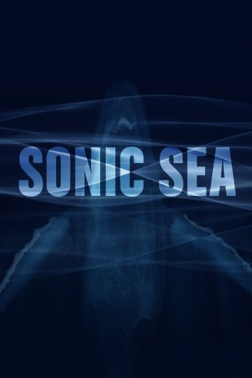 Ciné-Débat "Sonic Sea"