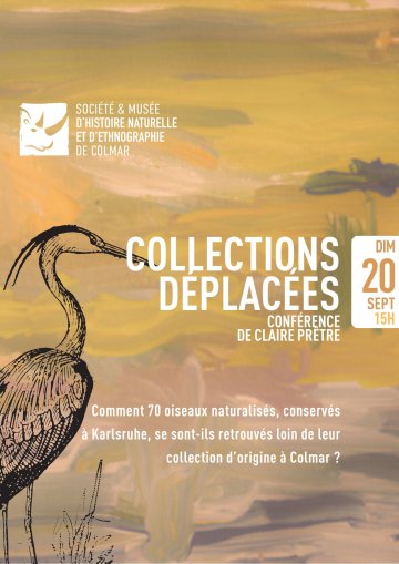 Des collections déplacées par la guerre