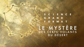 Projection : Le mystère des cerfs-volants du désert