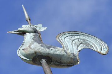 Exposition du coq du clocher de l'église Notre-Dame