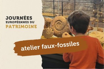 Atelier Faux-Fossiles