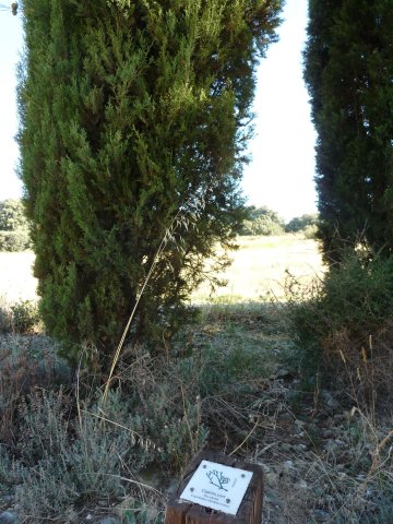 Balade "Clic-clac" du sentier du temps
