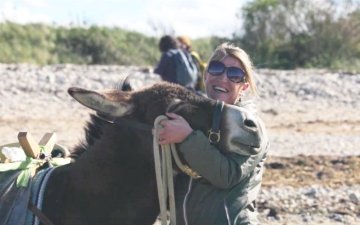 Au pas des ânes et chevaux normands pour une baie propre