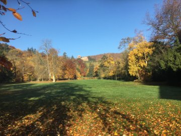 Visite commentée du parc du manoir de Kintzheim