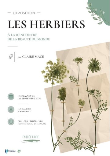 Exposition "Les herbiers : à la rencontre de la beauté du monde" par Claire Macé