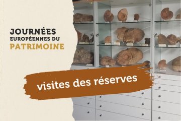 Visite des réserves de Fossilea