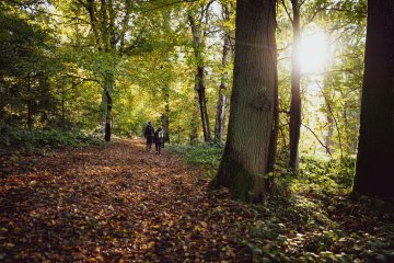 Une journée parents enfants en forêt