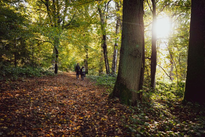 Une journée parents enfants en forêt