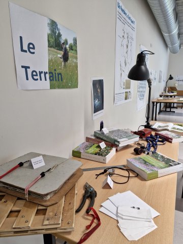 Observer, identifier, comprendre la flore