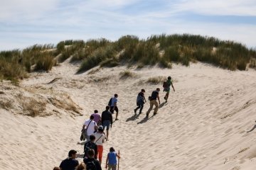 Visite commentée de la baie de Canche
