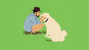 Des animaux et des hommes dans les œuvres d'art