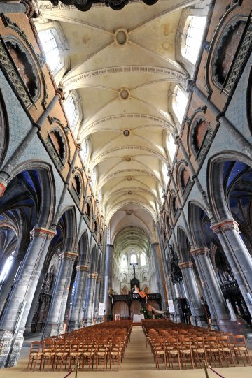 Visites guidées de la nef