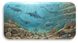 Fantastiques fossiles