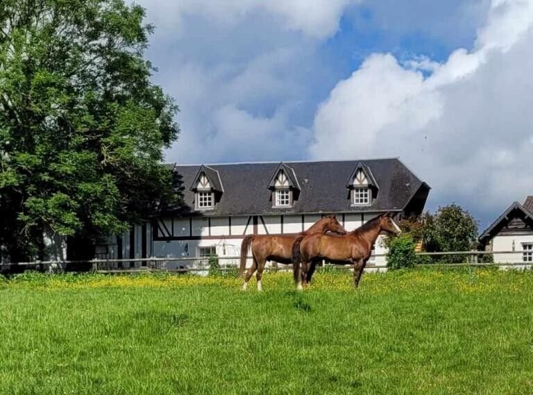 Week-end immersif au Haras de la Griserie