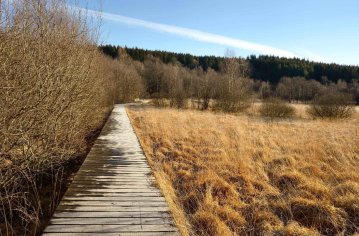 Les Sources de l'Yonne, archives vivantes !