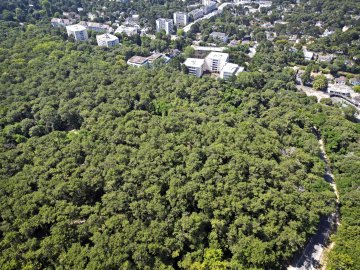 Visites guidées de la fôret d'Escoublac