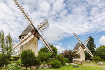 Visite des Moulins du Terrier Marteau