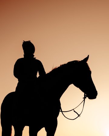 Exposition ''Le cheval pur-sang à Deauville'' au Pôle International du Cheval Longines - Deauville