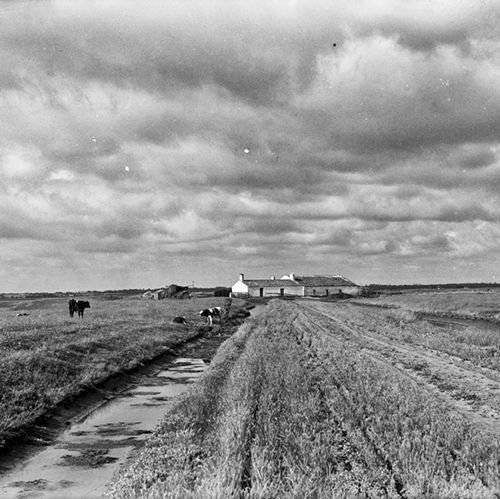 Cycle de conférences - Qu’est-ce que la photographie ?