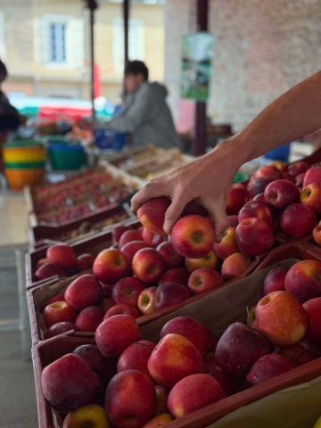 Le marché en musique