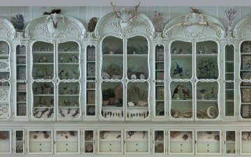 Journées européennes du patrimoine au Jardin des Plantes