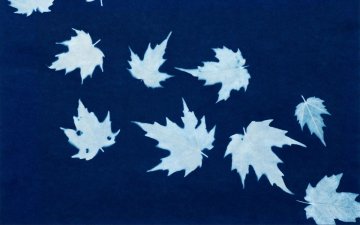 Atelier : initiation au cyanotype