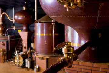 Dégustation de cognacs