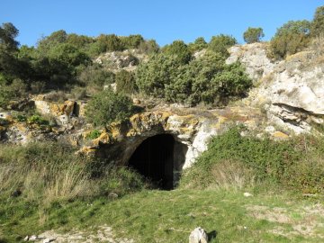 Visite guidée de la grotte préhistorique de Bélesta