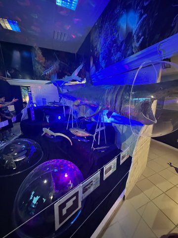 Visite de nos deux expositions temporaires