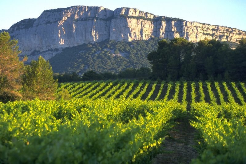 Vins du Languedoc
