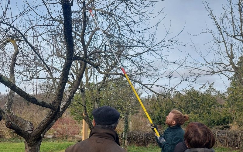 Chantier verger