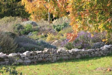 Visite libre d'un jardin sans arrosage