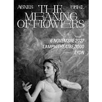 Agnes obel