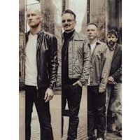 The pineapple thief