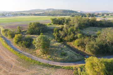 Découverte de la source de bitume du Puy de la Poix
