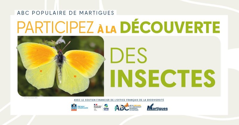 Atlas populaire de la Biodiversité Communale : " Découverte des insectes "