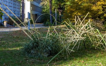 L'art floral japonais s'invite au jardin des serres d'Auteuil