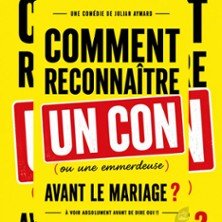 Comment Reconnaitre un Con... - Théâtre Le Bourvil, Paris