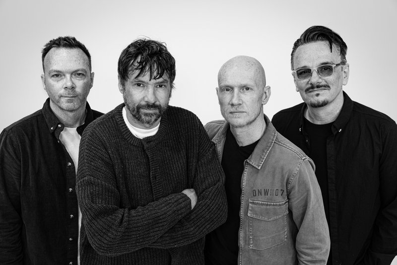 The pineapple thief