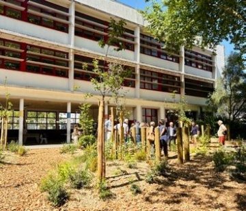 L’école Bisson, de la reconstruction à la cour oasis