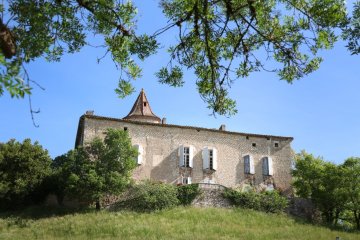 Micro-visites en continu du château