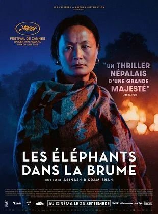 LES ÉLÉPHANTS DANS LA BRUME