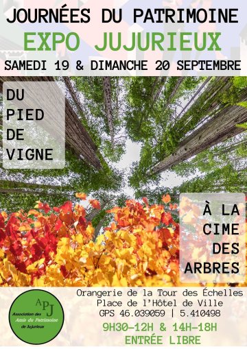 EXPO : Du pied de vigne à la cime des arbres